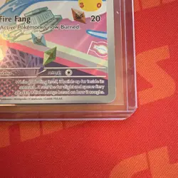 Litten 044 First Partner Illustration Black Star Promo Pokemon - NM & SHIPS FAST - Image 3