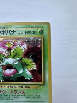Venusaur No. 003 Holo CD Promo Japanese Old Back Pokemon Card Vintage Rare NM - Image 4