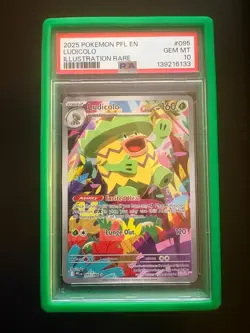 Pokemon Ludicolo 095/094 Phantasmal Flames Illustration Rare Holo PSA 10 English - Image 1