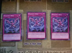 YUGIOH 3X DRAGONS BIND BOSH-EN069 COMMON UNLIMITED ED NM - Image 1