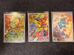 Pokemon First Partner Illustration Collection Series 2 Johto 3 Card Set Sleeved - Image 1