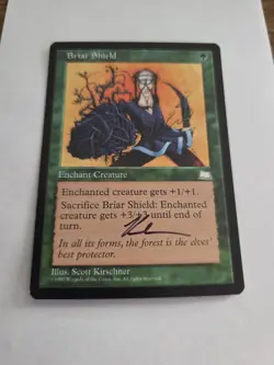 Brain Shield ARTIST PROOF Signed By Scott Kirschner Magic the Gathering - Image 1
