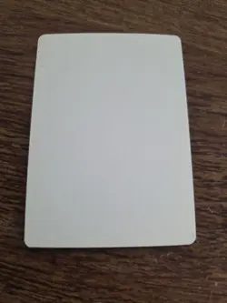 Hibernation ARTIST PROOF Signed By Scott Kirschner Magic the Gathering - Image 2