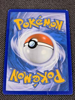 Team Magma's Poochyena Common DCR Double Crisis 17/34 Pokemon Card LP -- L28 - Image 3