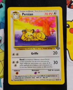 Persian 42/64 Jungle Set French LP - Image 1