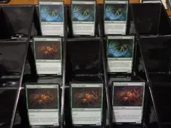 Magic the gathering Casual Deck, Green Spider Pauper Deck - Image 3