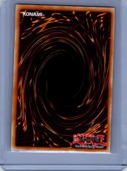Reprodocus Unlimited Ultra Rare 2019 Gold Sarcophagus Tin Mega Pack MP19-EN110 L - Image 2