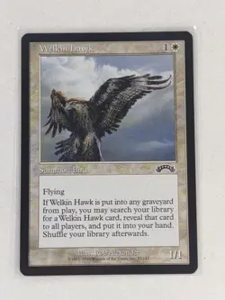 Welkin Hawk - Exodus (EXO) MTG Magic the Gathering (NM+) - Image 1