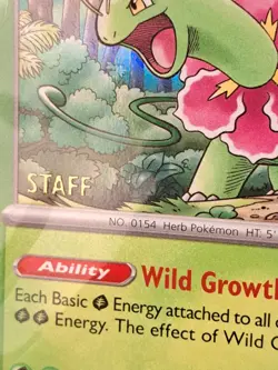 Mega Evolution Sealed Staff Prerelease Promo Pokemon 4 Cards NM - Image 2