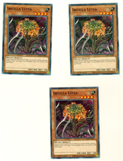 Set Of 3 Ibicella Lutea Tin Of Ancient Battles 2021 1st Edition Yugioh Card - Image 1