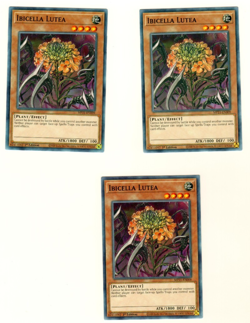 Set Of 3 Ibicella Lutea Tin Of Ancient Battles 2021 1st Edition Yugioh Card - Image 3