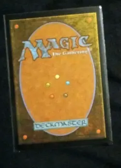Mikey & Leo, Chaos & Order (Borderless) -Foil Near Mint MTG TMNT - Image 2
