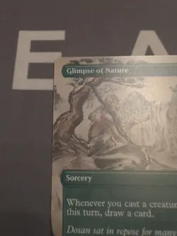 Glimpse of Nature (Borderless) [Secret Lair 30th Anniversary Countdown Kit] Near - Image 4