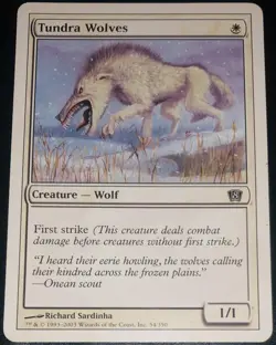 1x Tundra Wolves - NM English MTG - Tenth Edition - Image 1