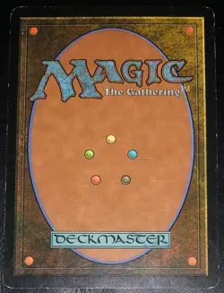 1x Tundra Wolves - NM English MTG - Tenth Edition - Image 2