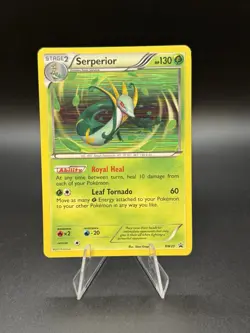 Pokemon Black Star Promos SERPERIOR BW20 Holo - Image 1