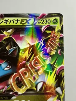 M Venusaur EX 002/060 (LP) RR XY1: Collection X 2013 Japanese Pokemon Card - Image 5