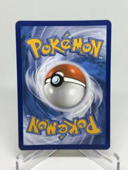 Eevee SVP 173 Scarlet & Violet Black Star Promo Pokemon TCG Card NM - Image 2