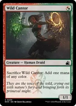 Wild Cantor - Near Mint MTG Ravnica Remastered - Image 1