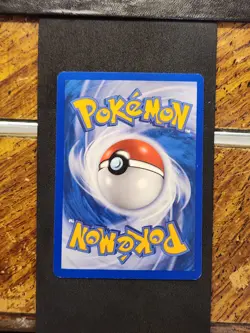 Teddiursa 109/144 Skyridge Common Pokemon Card Trading Collect Tcg Vtg Play - Image 2