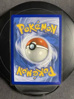 Pokemon TCG Crustle 183/182 Illustration Rare Holo SV04: Paradox Rift - Image 2