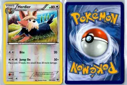 Herdier XY 109/146 Uncommon Reverse Holo MP - Mid Era Pokemon Card - Image 3