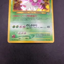 Meganium Holo Neo Premium File Promo - Japanese Pokemon Card - 2000 - Image 4