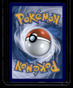 Cyndaquil Holographic SWSH221 Black Star Promo Sword & Shield Holo Pokemon Card - Image 2