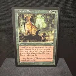 MTG Natural Order Visions Rare LP Original 1997 Magic the Gathering - Image 1
