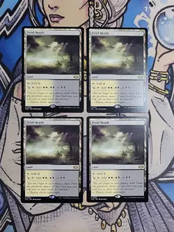 4x Fetid Heath - NM/M TDC MTG Magic - Image 1