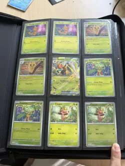 Pokemon Chaos Rising Master Base Set 100% Complete (162) Holo, Reverse & EX - Image 1
