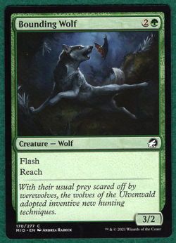 Bounding Wolf - Innistrad: Midnight Hunt (MID) #170 - Magic MTG Card - Image 1