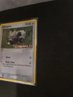 Zigzagoon Ex Emerald Stamped Reverse Holo Common 74/106 2005 - LP Pokemon Card - Image 2