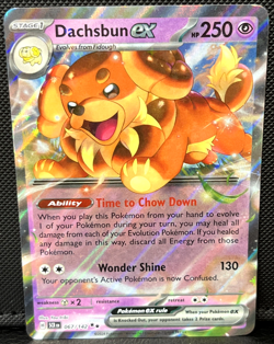 Dachsbun EX 067/142 Double Rare Holo - Stellar Crown - SV07 - NM - Pokemon TCG - Image 1