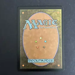 MTG Sigiled Paladin - Shards of Alara - Magic: The Gathering SIGNED #1 - Image 3