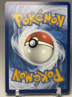 Garbodor 204/182 SV04: Paradox Rift Illustration Rare Holo - Image 2
