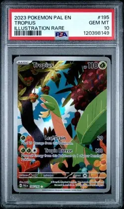 TROPIUS #195 PSA 10 • 2023 Pokemon Paldea Evolved Illustration Rare - Image 1