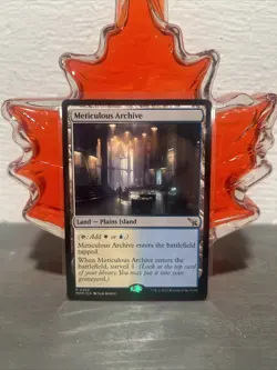 Meticulous Archive Murders at Karlov Manor Magic the Gathering Card #264 Rare - Image 1