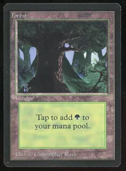 1993 MTG Magic the Gathering Beta Forest V3 Dent Bottom HP Raw TCG - Image 1