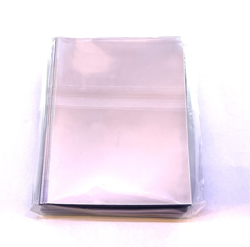 Pokemon Official World Championships 2023 Yokohama Deck 【No Pikachu Promo Card】 - Image 3
