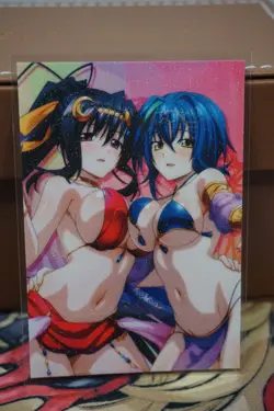 Xenovia Quarta & Akeno Himejima High School DxD Sexy Waifu Custom Card - Image 3
