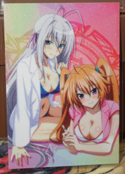 Irina Shidou & Rossweisse High School DxD Sexy Waifu Textured Custom Card - Image 1