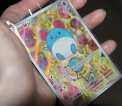 Marill 232/217 - Ascended Heroes Illustration Rare Pokemon TCG NM - Image 3