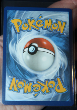 Marill 232/217 - Ascended Heroes Illustration Rare Pokemon TCG NM - Image 5