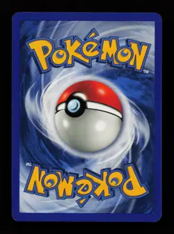 Torchic 73/109 Common Ruby & Sapphire Pokemon Cards - Image 2