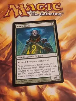 Magic the Gathering MTG Coldsnap Boreal Druid - LP - Image 1