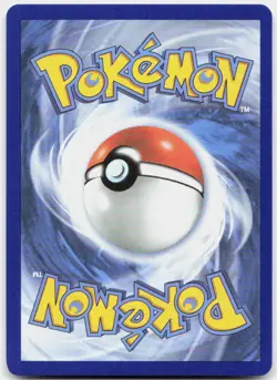 Mega Greninja ex - 081 022/086 Holo Promo ME: Mega Evolution Promo Pokemon NM/M - Image 2