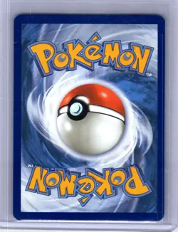 Riolu 010 Holo Promo ME: Mega Evolution Promo Pokemon Near Mint - Image 2