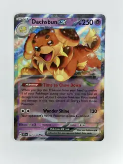 Dachsbun ex (Double Rare) - 067/142 Stellar Crown - Pokemon - SHIPS NOW - Image 1