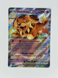 Dachsbun ex (Double Rare) - 067/142 Stellar Crown - Pokemon - SHIPS NOW - Image 2